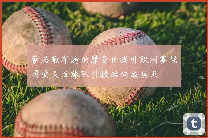 萨格勒布迪纳摩身价提升欧洲赛场再受关注球队引援动向成焦点