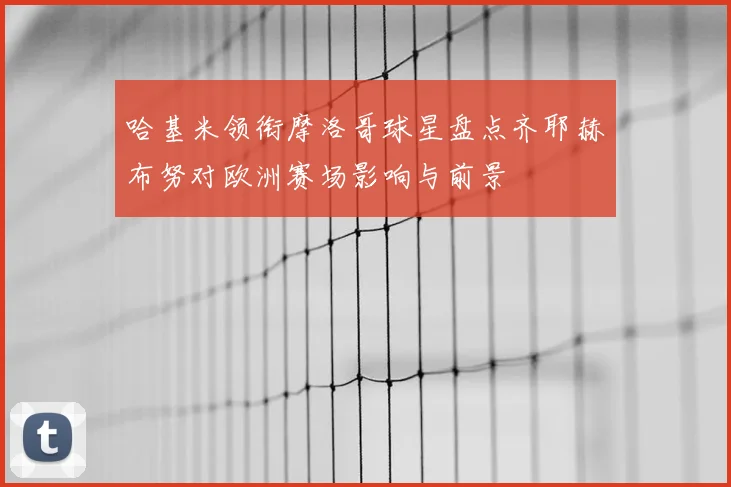哈基米领衔摩洛哥球星盘点齐耶赫布努对欧洲赛场影响与前景