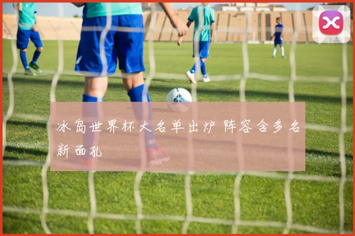 冰岛世界杯大名单出炉 阵容含多名新面孔
