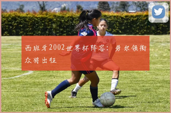 西班牙2002世界杯阵容:劳尔领衔众将出征