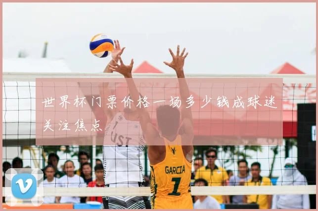 世界杯门票价格一场多少钱成球迷关注焦点