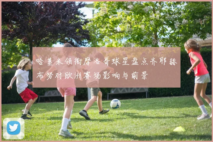 哈基米领衔摩洛哥球星盘点齐耶赫布努对欧洲赛场影响与前景