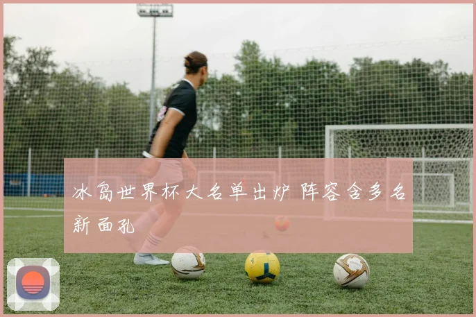 冰岛世界杯大名单出炉 阵容含多名新面孔
